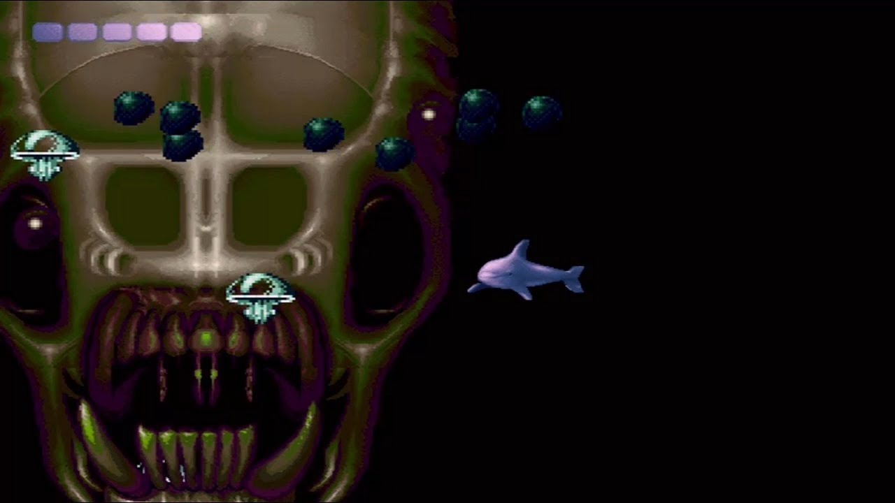 Ecco the Dolphin