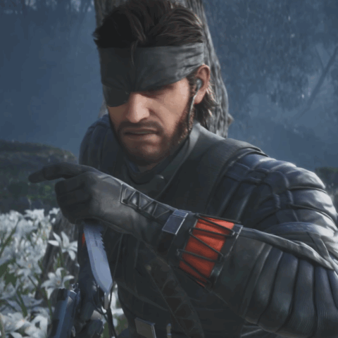 Metal Gear Solid Delta: snake eater