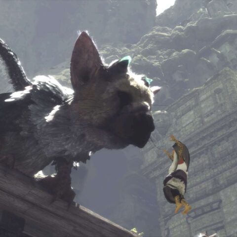 The Last Guardian
