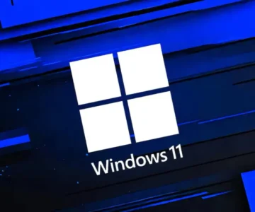 Windows 11