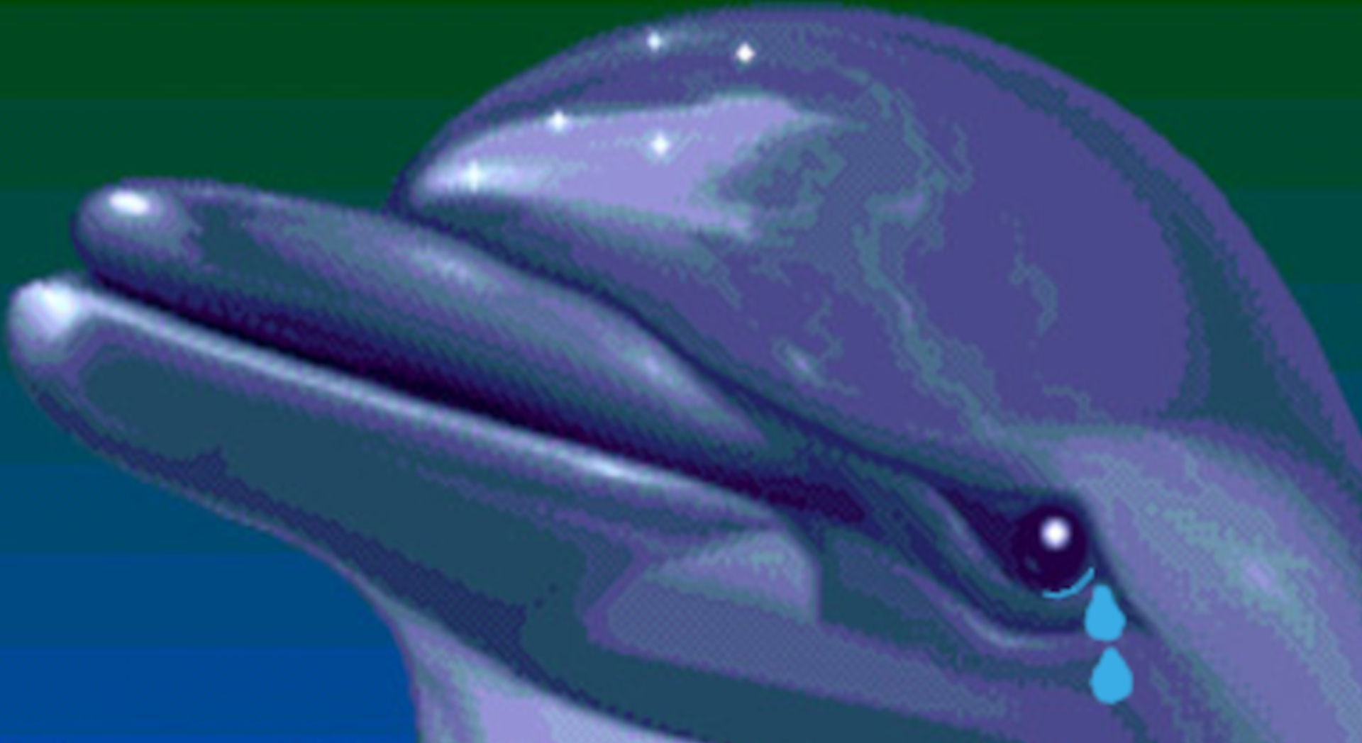 Ecco-the-Dolphin2 Ecco the Dolphin confirma que novos jogos estão em desenvolvimento
