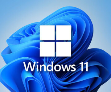 Windows 11