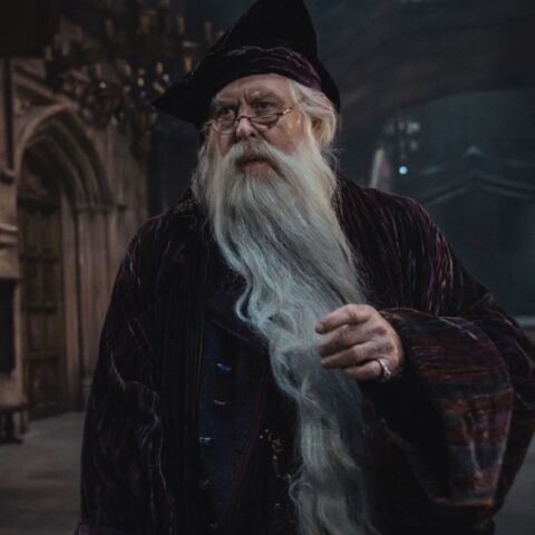 Harry Potter